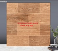 Gạch lát nền TTC 60x60 FM66205