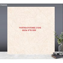 Gạch lát nền TTC 60x60 PN66005