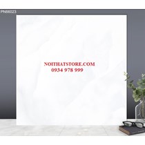 Gạch lát nền TTC 60x60 PN66023