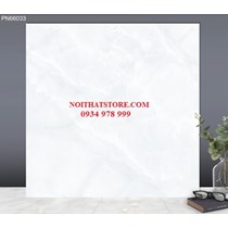 Gạch lát nền TTC 60x60 PN66033