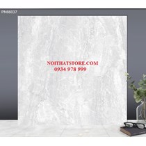 Gạch lát nền TTC 60x60 PN66037