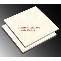 Gạch lát nền TTC 60x60 PN66040