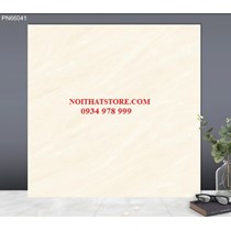Gạch lát nền TTC 60x60 PN66041