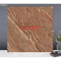 Gạch lát nền TTC 60x60 PN66202