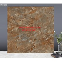 Gạch lát nền TTC 60x60 PN66206