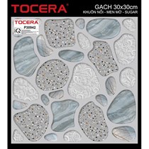 Gạch lát nền TTP 30x30 P30942