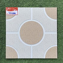 Gạch lát nền TTP 30x30 TTP302