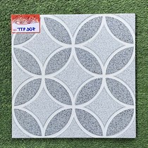 Gạch lát nền TTP 30x30 TTP307