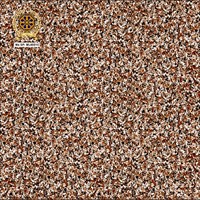 Gạch lát nền Vicenza 60x60 ML 6031C