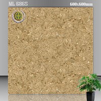 Gạch lát nền Vicenza 60x60 ML 6865