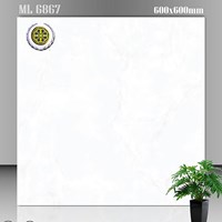 Gạch lát nền Vicenza 60x60 ML 6867