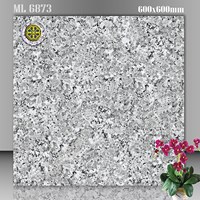 Gạch lát nền Vicenza 60x60 ML 6873