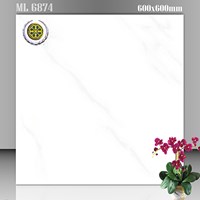 Gạch lát nền Vicenza 60x60 ML 6874