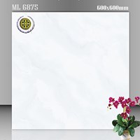 Gạch lát nền Vicenza 60x60 ML 6875