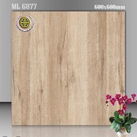 Gạch lát nền Vicenza 60x60 ML 6877