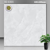 Gạch lát nền Vicenza 60x60 VC 6365