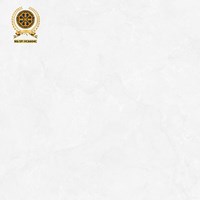 Gạch lát nền Vicenza 60x60 VC 6604C