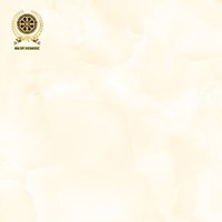 Gạch lát nền Vicenza 60x60 VC 6605C