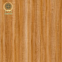 Gạch lát nền Vicenza 60x60 VC 6622C
