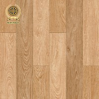 Gạch lát nền Vicenza 60x60 VC 6623C