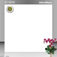 Gạch lát nền Vicenza 60x60 VC 6676