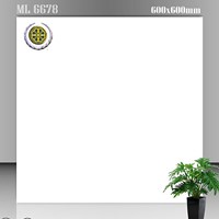 Gạch lát nền Vicenza 60x60 VC 6678