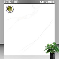Gạch lát nền Vicenza 60x60 VCTK 6969