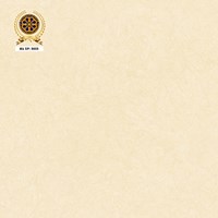 Gạch lát nền Vicenza 80x80 8603