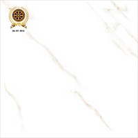 Gạch lát nền Vicenza 80x80 8814