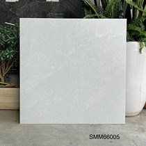 Gạch lát nền Việt Ý 60x60 mờ SMM66005
