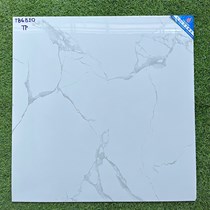 Gạch lát nền Viglacera 600x600 TB6810
