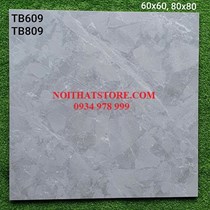 Gạch lát nền Viglacera 60x60 TB609
