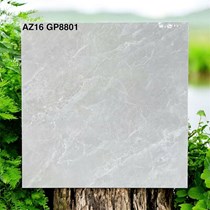 Gạch lát nền Viglacera 80x80 AZ16-GP8801