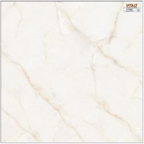 Gạch lát nền Vitaly 60x60 VP6667