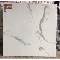 Gạch lát nền Ý Mỹ 600x600 EP69001R