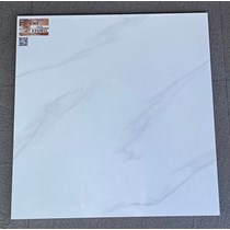 Gạch lát nền Ý Mỹ 600x600 EP69011