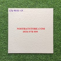 Gạch lát sân vườn 40x40 CTG4600-CP
