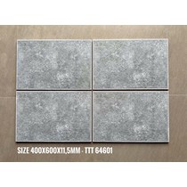 Gạch lát sân vườn 40x60 TTT 64601