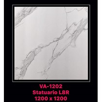 Gạch ốp lát Ấn Độ 120x120 VA-1202
