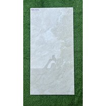 Gạch ốp lát Ấn Độ 60x120 APK1203