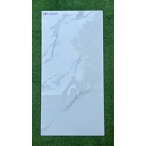 Gạch ốp lát Ấn Độ 60x120 APK120360