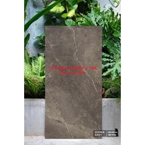 Gạch ốp lát Ấn Độ 60x120 nâu xám vân đá