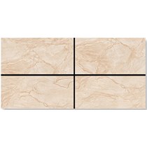 Gạch ốp lát Ấn Độ 60x120 VA-6203