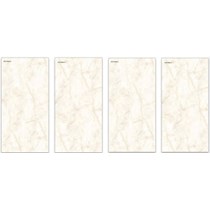 Gạch ốp lát Ấn Độ 60x120 VA-SM02
