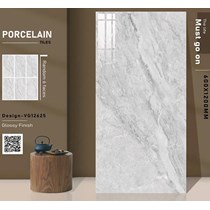 Gạch ốp lát Ấn Độ 60x120 VG12625