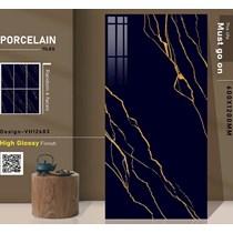 Gạch ốp lát Ấn Độ 60x120 VH12683