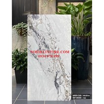 Gạch ốp lát Ấn Độ 60x120 xám vân đá