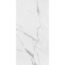 Gạch ốp lát Apodio 60x120 61181070