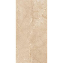 Gạch ốp lát Apodio 60x120 61182024