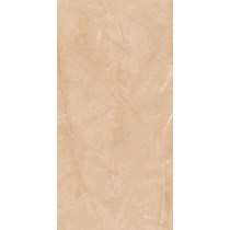 Gạch ốp lát Apodio 60x120 61183024